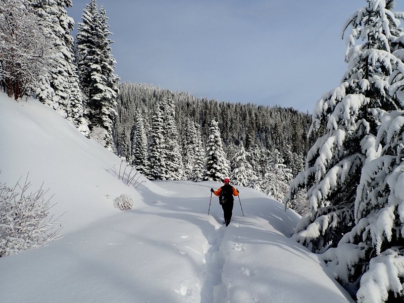 Breaking trail through fresh powder on the Bull Gap Lower Trail.