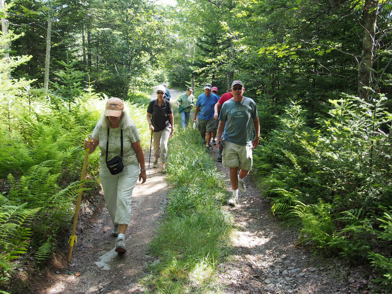 On the trail