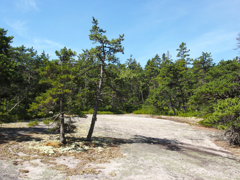Watershed Trail Hiking Trail, Vinalhaven, Maine