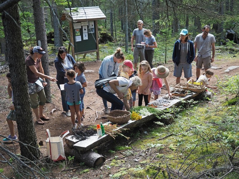 Supplies for building Fairy Houses at the Story Trail.