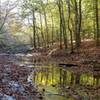 October 2020 On the Buffalo River Trail Crossing Steele Creek.