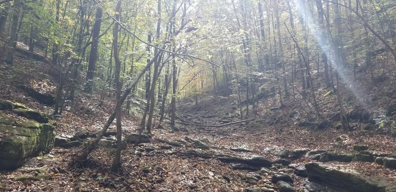 October 2020 On the Buffalo River Trail Crossing Bench Creek.