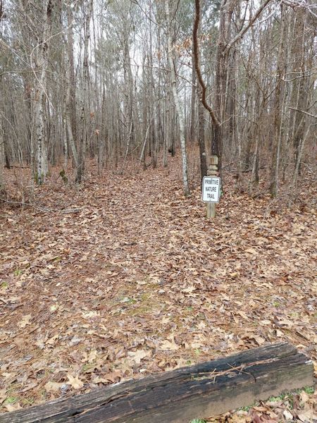 Entrance to the trail a cross from the play ground.