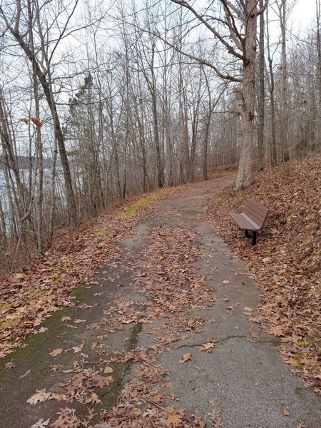 Bench along the trail.