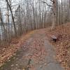 Bench along the trail.