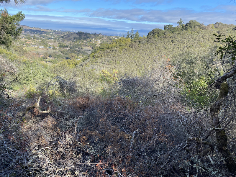 There are some nice, and well earned(!), views along the way.  (Map location is approximate!)