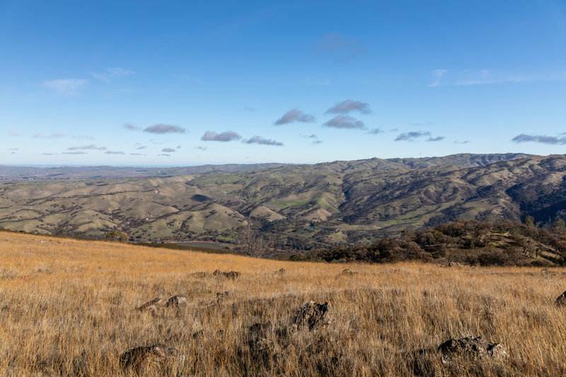 Del Valle Regional Park with the tip of Lake Del Valle.