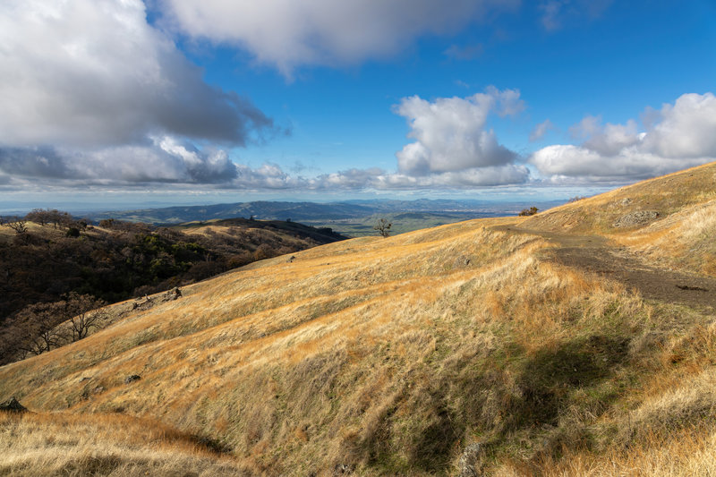 Springboard Trail Connector Hiking Trail, Livermore, California