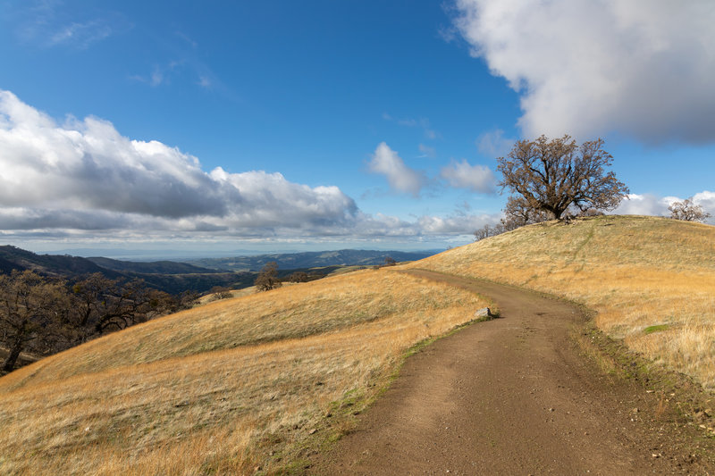 Rowell Ridge Trail