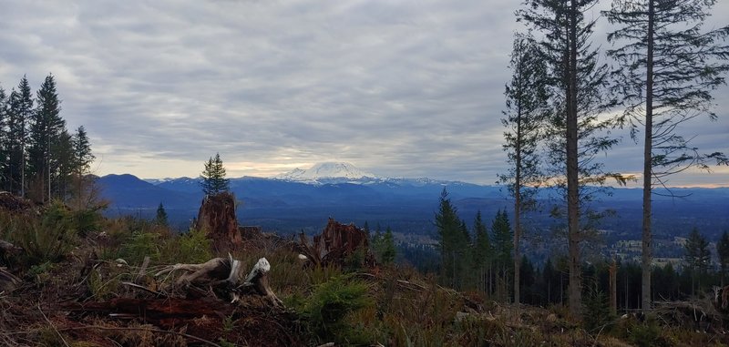 Mt. Rainier from near the top Tiger Mt.