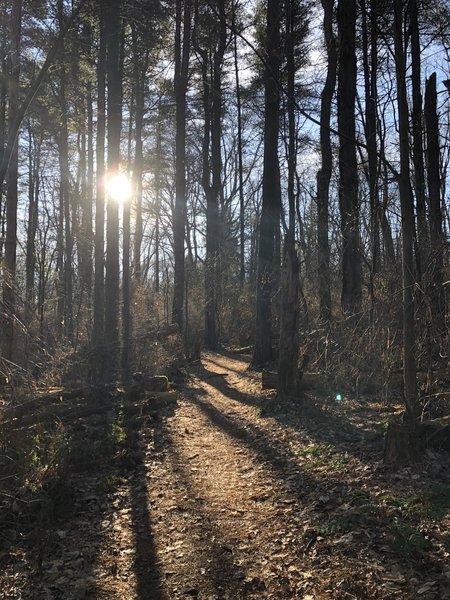 Part of Boone near Scott's Lake.