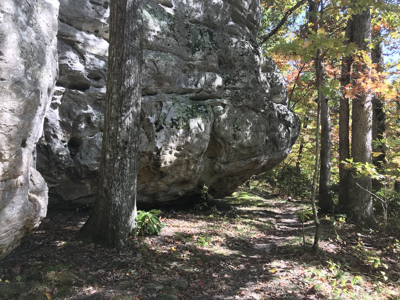 Rock outcrop at Black Mountain