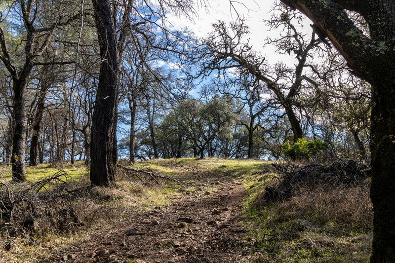 Olmstead Loop Trail