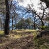 Olmstead Loop Trail