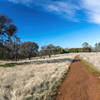 Slightly muddy, but nonetheless a pleasant walk on Olmstead Loop Trail.