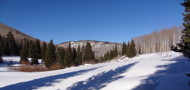 Near the end of Williams Trail near intersection with the Babbish Gulch Trail