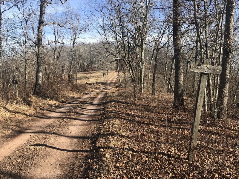 Trail crosses FR 121 at ridge top of Back Creek Mtn.