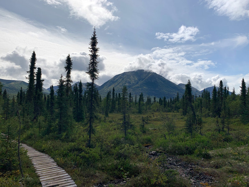 One of the many vistas from the trail to Tanalian Falls in Lake Clark National Park.