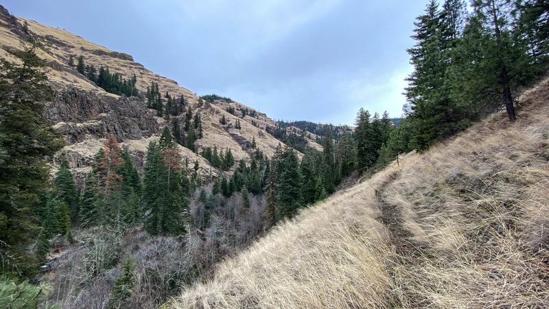 Asotin Creek Trail