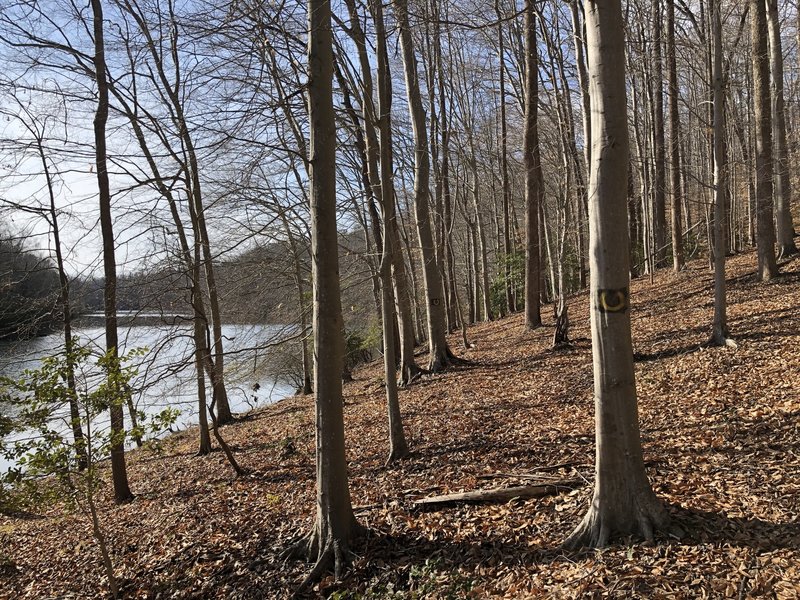 Trail by the water