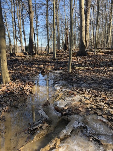 Muddy frozen trail