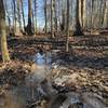 Muddy frozen trail