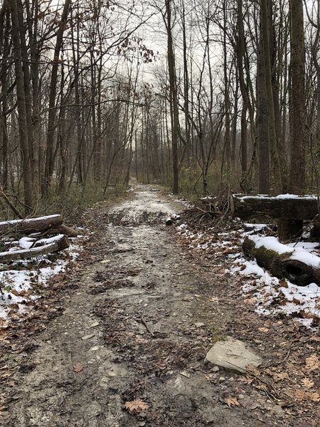 Main trail with a bit o mud