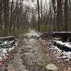 Main trail with a bit o mud