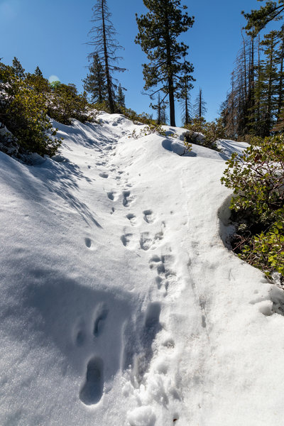 A snowy ascent on the north rim