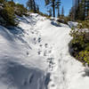 A snowy ascent on the north rim