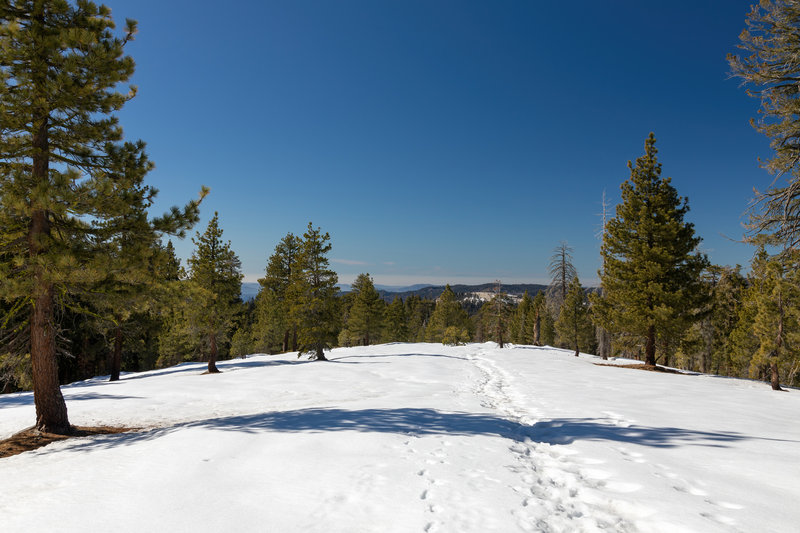 A break in the trees offers amazing views west.