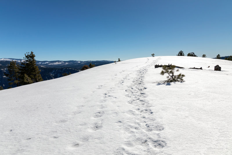 The last few yards to the top of El Capitan