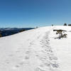 The last few yards to the top of El Capitan