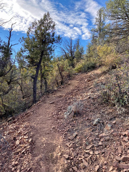 This is the best surface you can hope for and there's not much of it. Be ready to work on this hike/run.