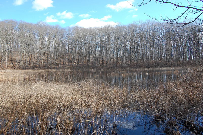 Stump Pond