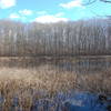 Stump Pond