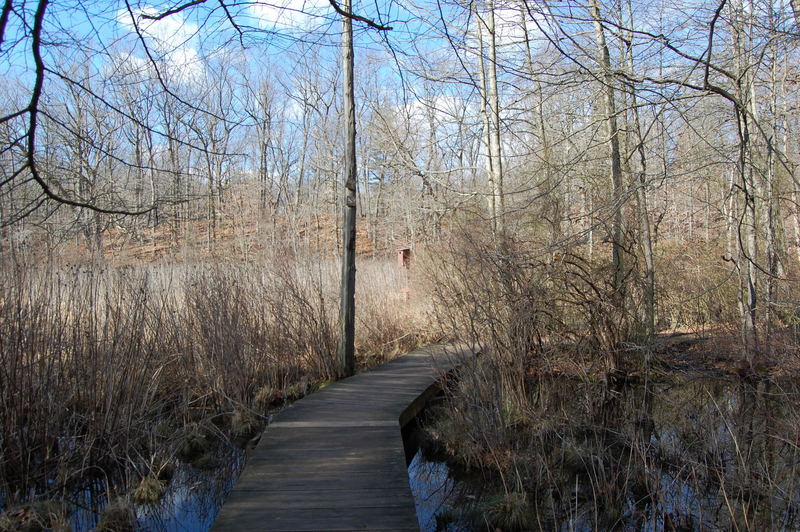 High Rock Nature Walk