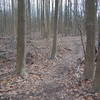 Unmarked trail connecting Greenbelt (Blue Blaze) to NYDEC St Francis Woodlands.