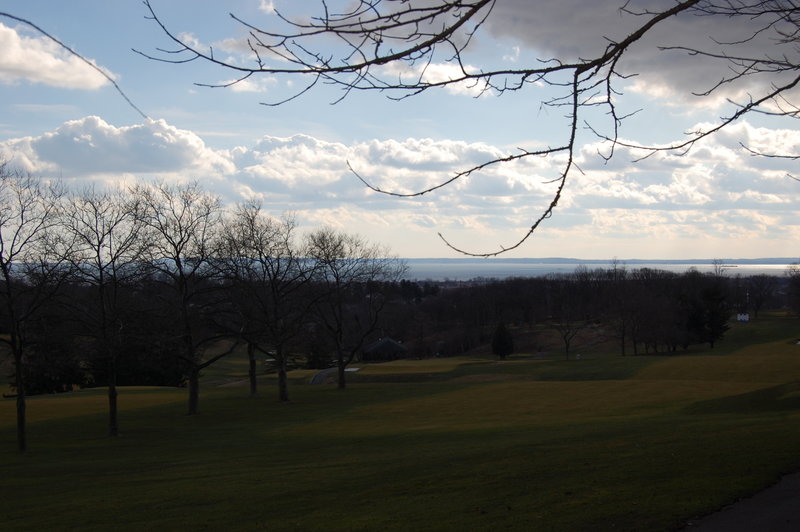 Lower New York Bay from Greenbelt Blue Trail