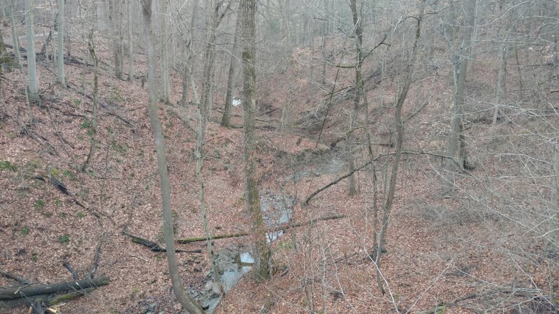 The ravine below