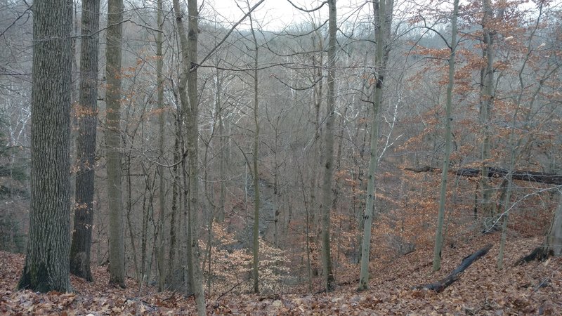 View from the overlook.