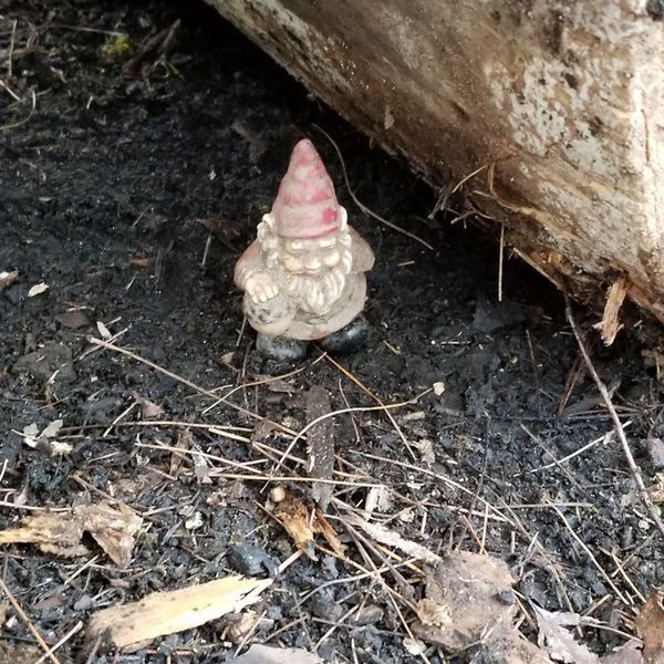 Be sure to say hello to the camp gnome.