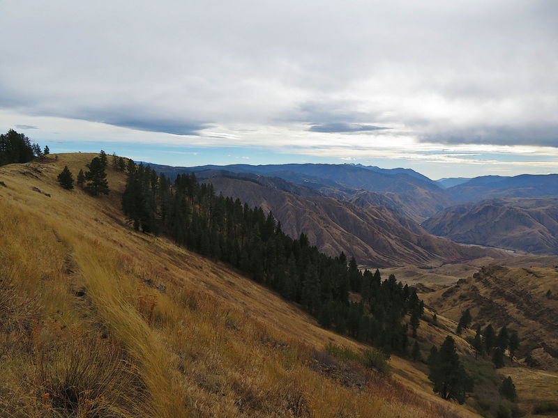 The view into Hells Canyon near Wildhorse Saddle.