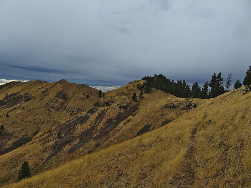 Looking toward Wildhorse Ridge.