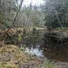 South Beaver Pond