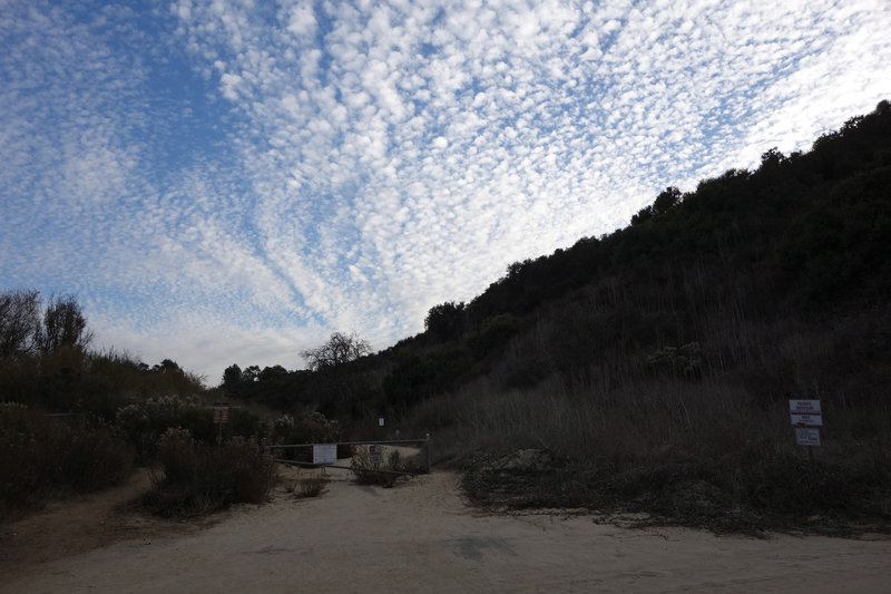 Start of the Fishhead trail under streaky and puffy sky.