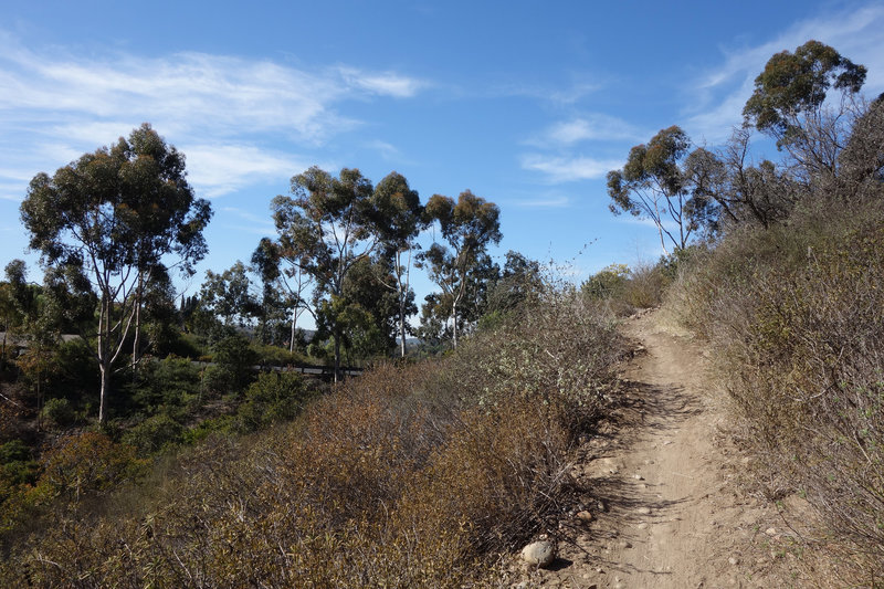 Climbing out of the Intestines trail