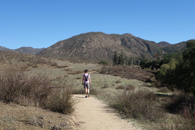 Hiker on the Pamo Valley Trail