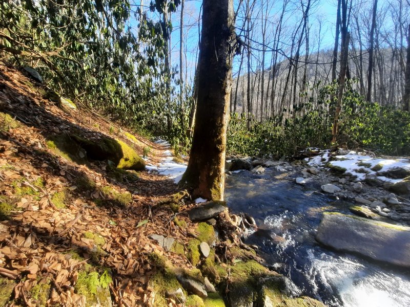 Just past the third creek fording down from Gunter Fork Cascade, heading toward Big Creek.