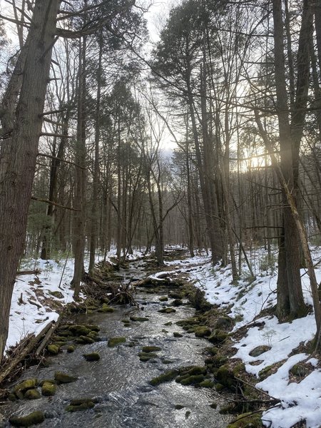 Calming creek